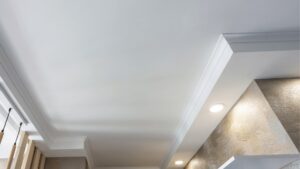 property health damage removal mould issues