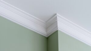 issues Mould Remediation environment
