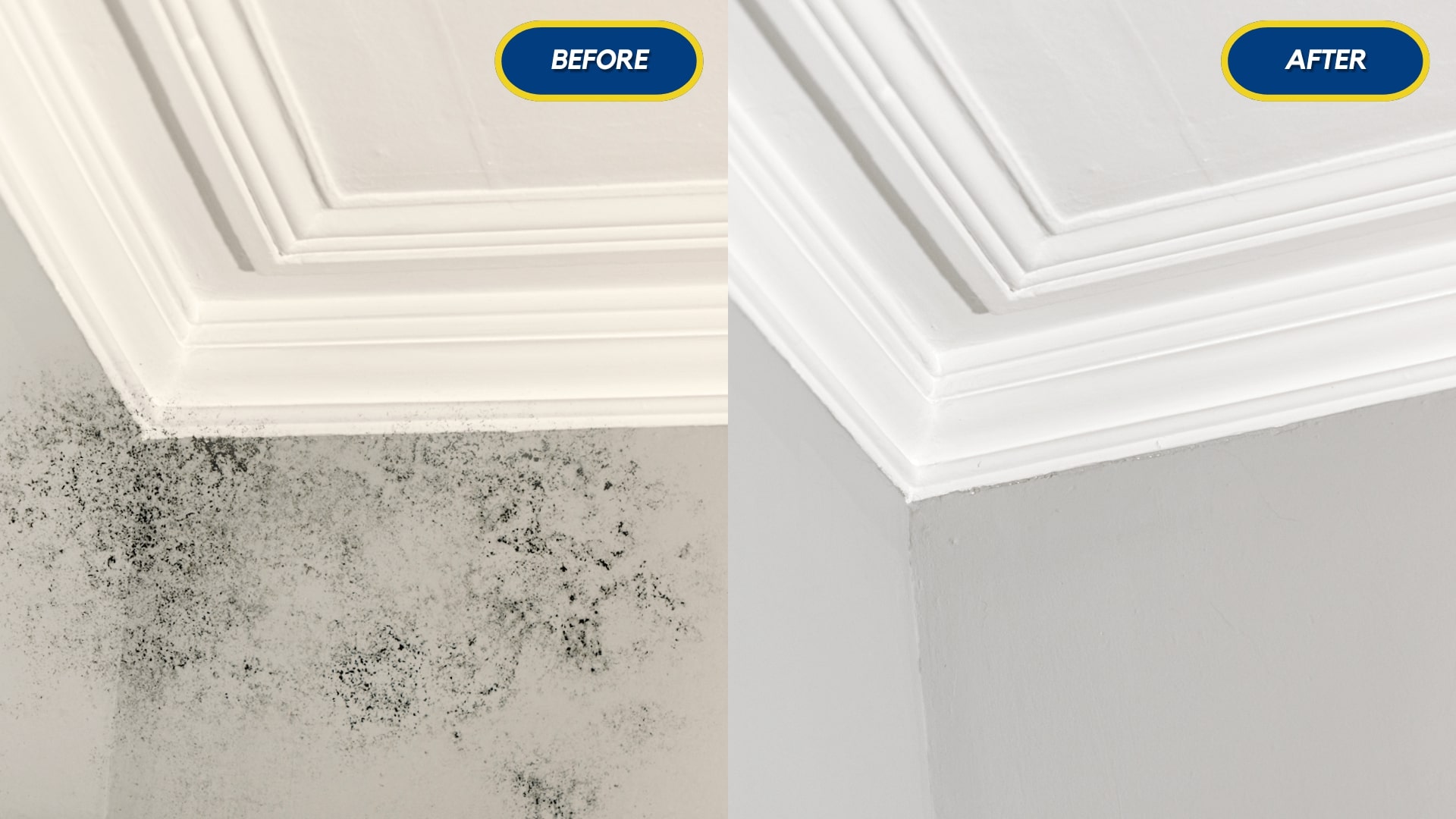 Absolute mould removal before and after