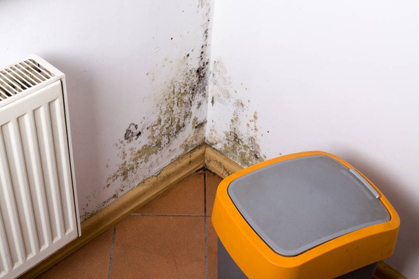 Brown Mould Alternaria Growth hidden in the corner near Indoor heater