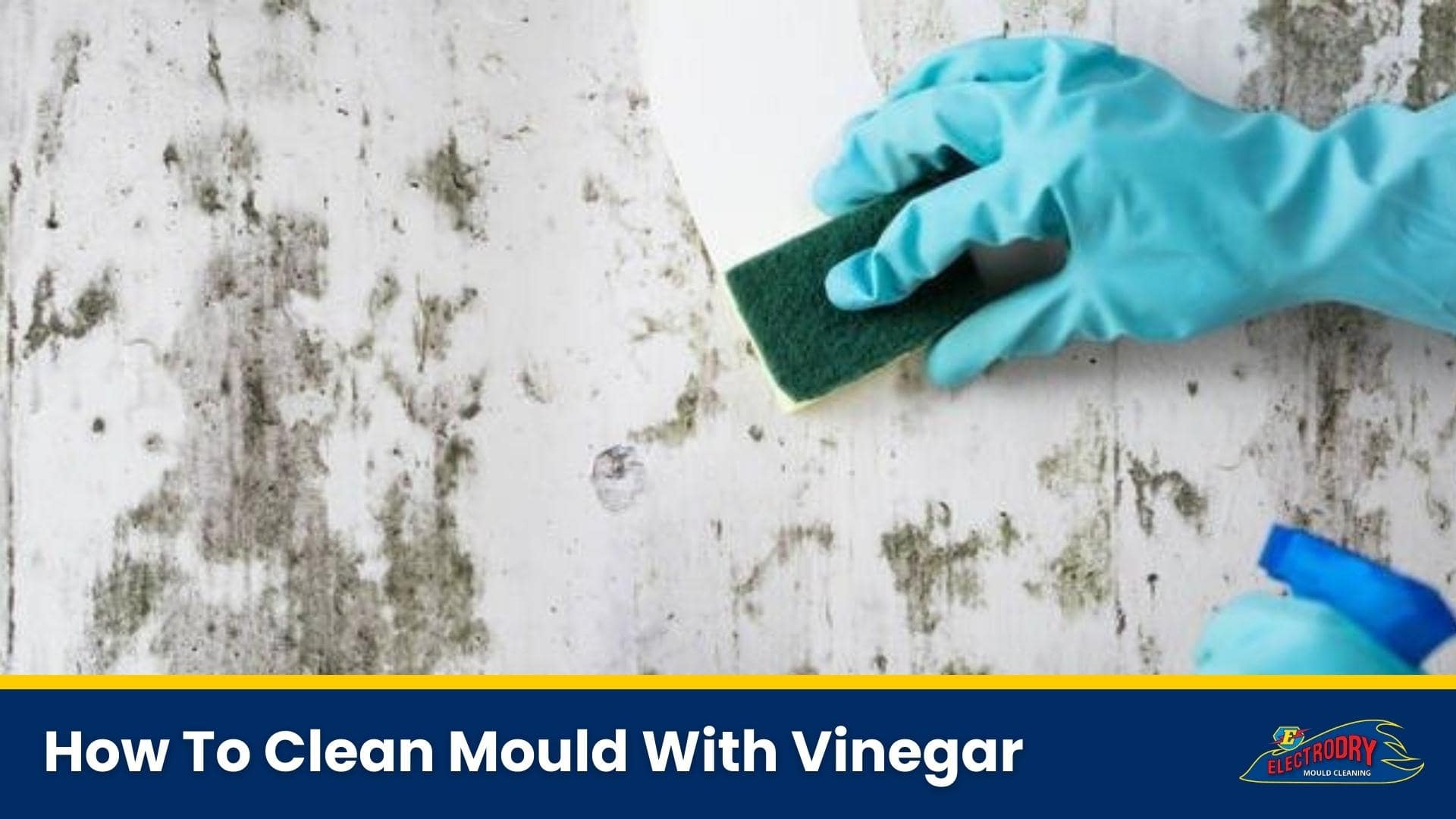 How To Clean Mould With Vinegar