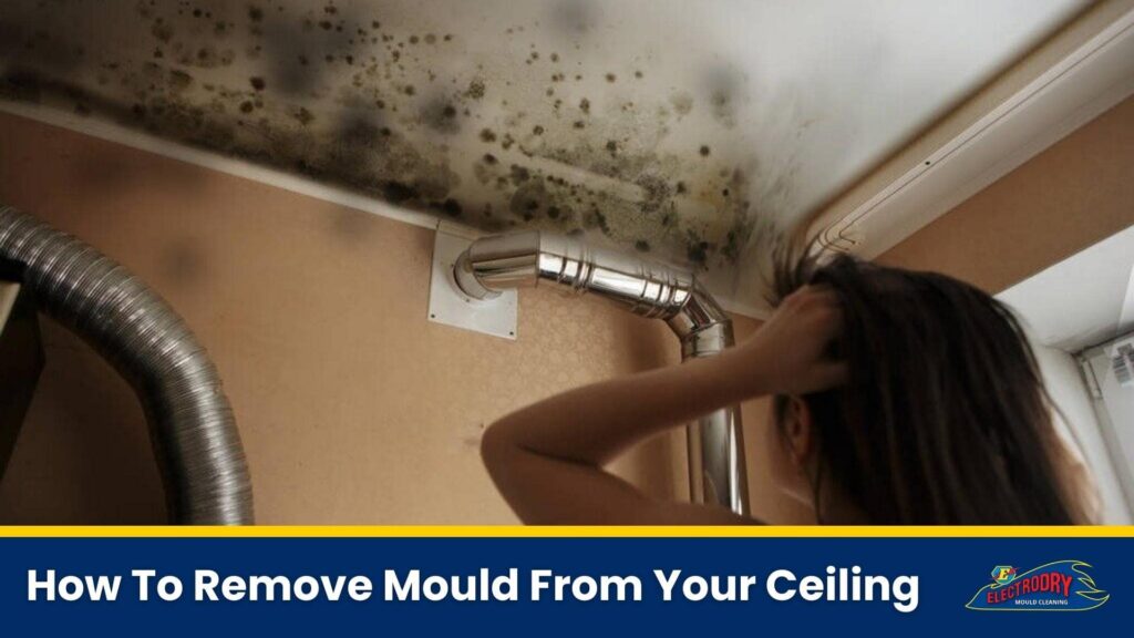 How To Remove Mould From Your Ceiling