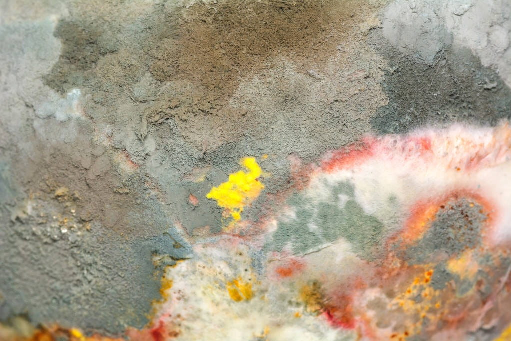 Pink Mould Growth growing around other Mould