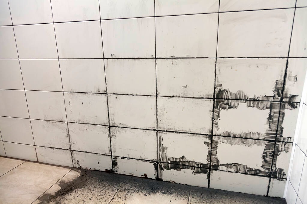 Tips for Black Mould Removal and Prevention