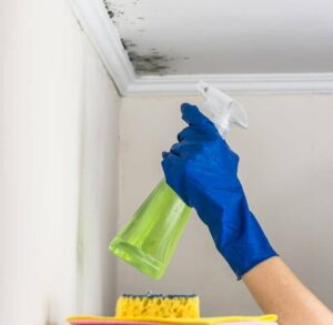Tips for Using Vinegar in Cleaning Mould