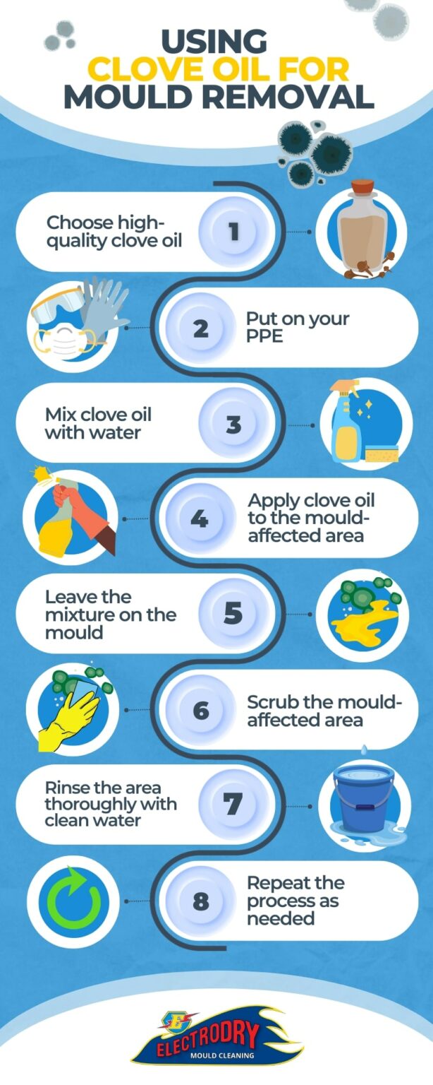 Guide on using clove oil for mould removal